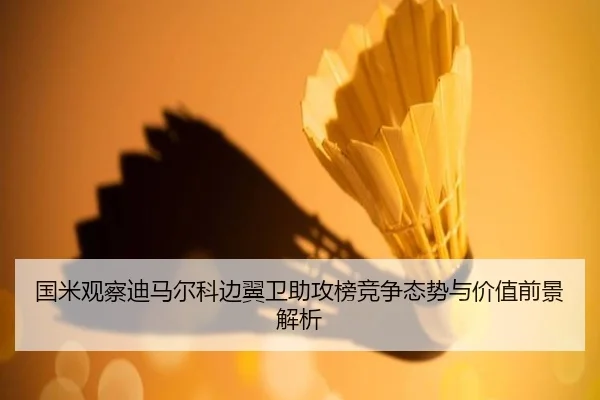 国米观察迪马尔科边翼卫助攻榜竞争态势与价值前景解析